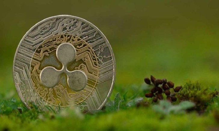 ریپل صندوق ۲۵ میلیون دلاری RLUSD برای حمایت از آموزش در آمریکا راه‌اندازی کرد