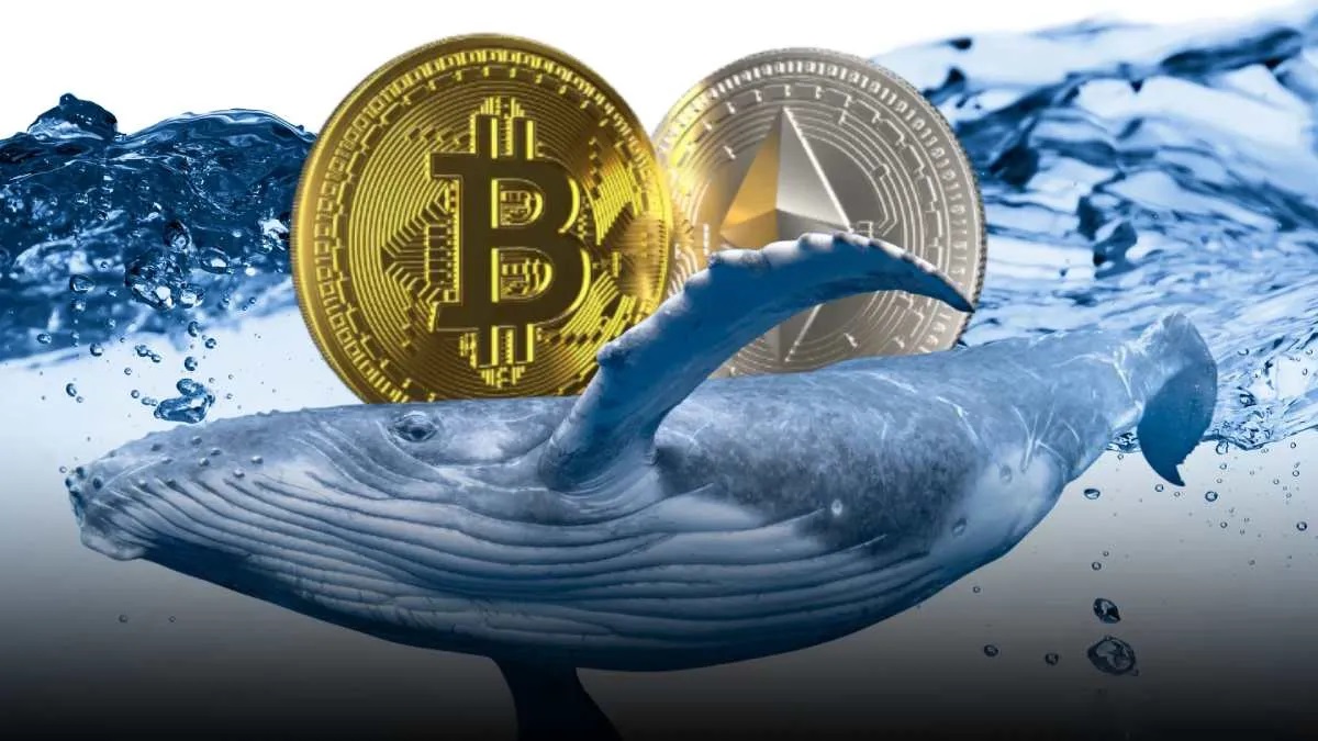 افزایش فعالیت نهنگ‌های بازار ارز دیجیتال؛ از خرید اتریوم تا فروش بیت کوین