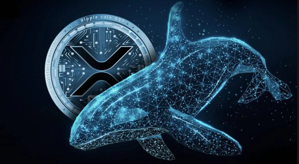 افزایش فعالیت نهنگ‌ها و احتمال جهش قیمت ریپل (XRP)