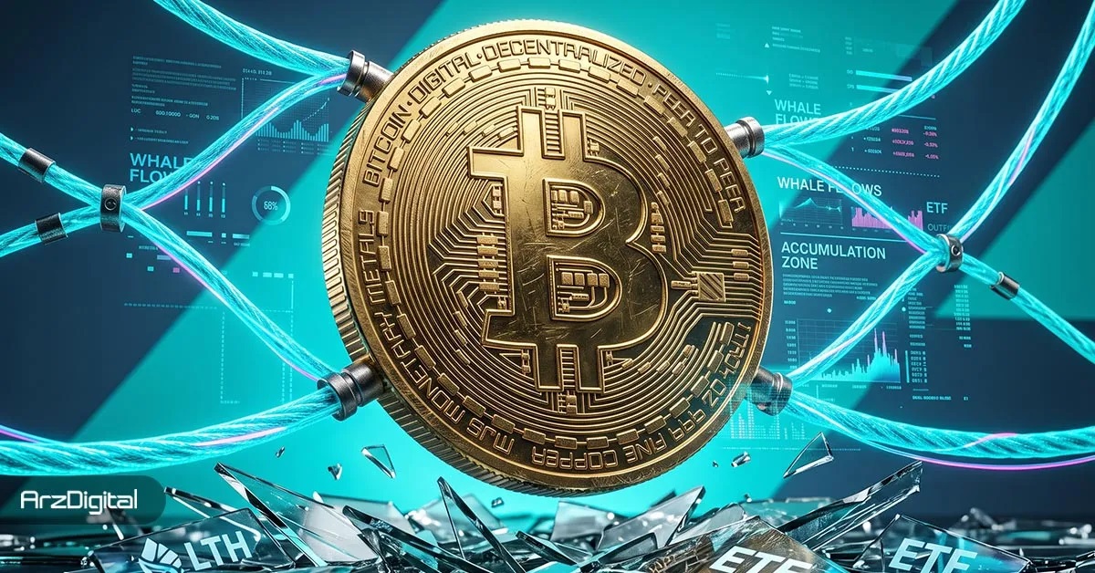 ۸۴ درصد بیت کوین‌ها در دستان هولدرهای بلندمدت؛ شوک عرضه در راه است؟
