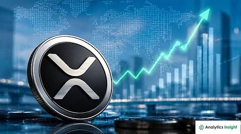 نهنگ‌ها در کف قیمتی ریپل وارد شدند؛ خرید ۳۸۰ میلیون XRP در یک هفته